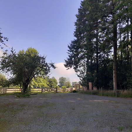 Les Gites Du Chateau De Maltot Saint-Ouen-du-Breuil エクステリア 写真